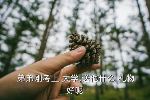 女朋友弟弟上大学了送什么礼物好,弟弟考上大学你要做好准备!