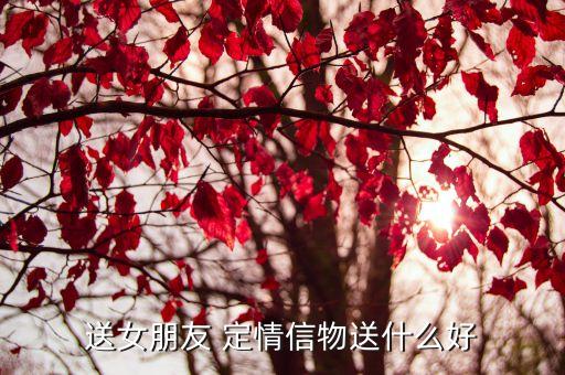 送女朋友 定情信物送什么好