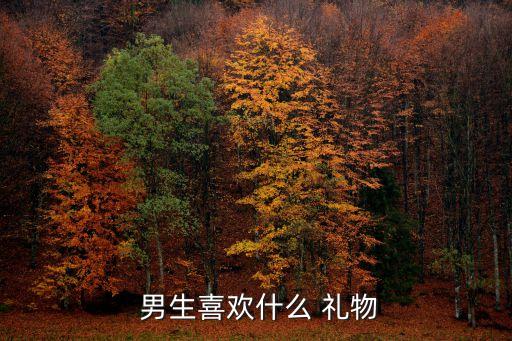  男生喜欢什么 礼物