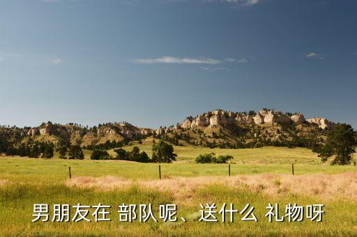 部队男生需要什么礼物,送-0礼物?可以去真礼网
