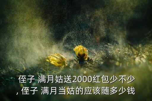  侄子 满月姑送2000红包少不少, 侄子 满月当姑的应该随多少钱