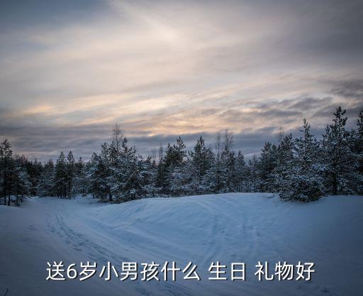 6岁儿童生日买什么礼物,六岁男孩生日礼物送什么?答案揭晓!