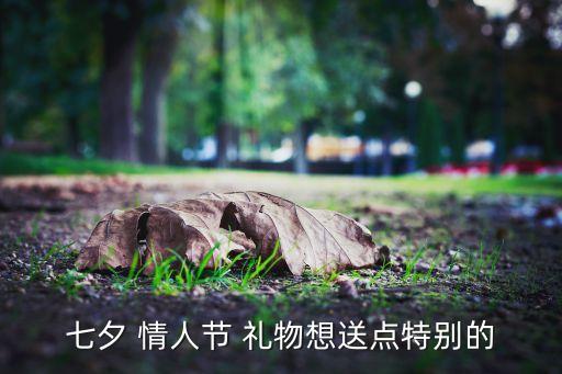 七夕 情人节 礼物想送点特别的