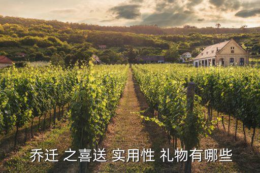  乔迁 之喜送 实用性 礼物有哪些