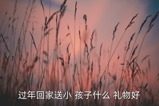 过年回家送小 孩子什么 礼物好