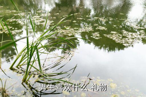 男生喜欢什么 礼物