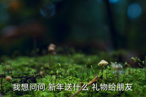 我想问问 新年送什么 礼物给朋友