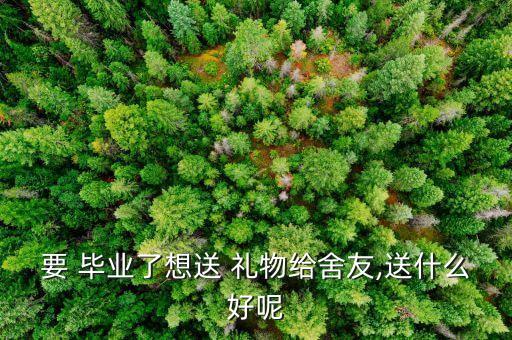 要 毕业了想送 礼物给舍友,送什么好呢
