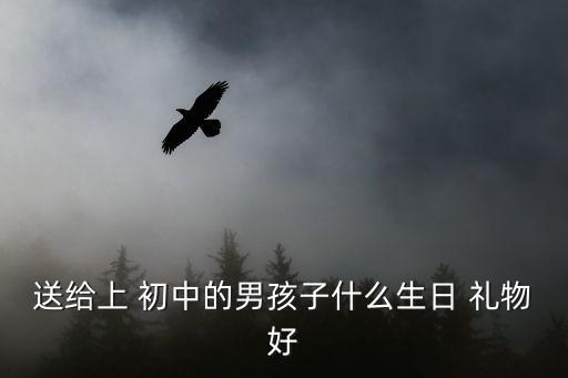 送给上 初中的男孩子什么生日 礼物好