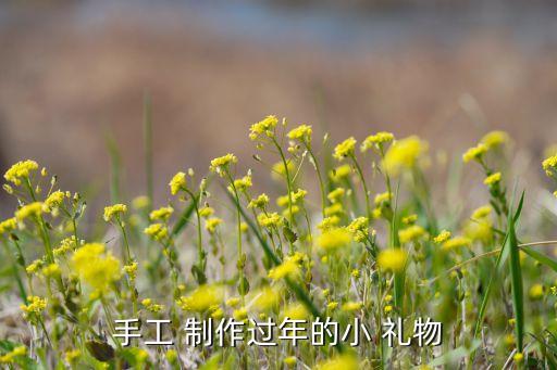 手工 制作过年的小 礼物