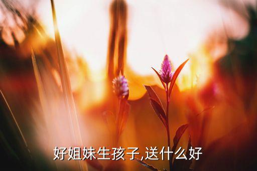 闺蜜生宝宝送什么礼物,送宝贝礼物给你以下建议!