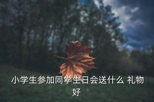  小学生参加同学生日会送什么 礼物好