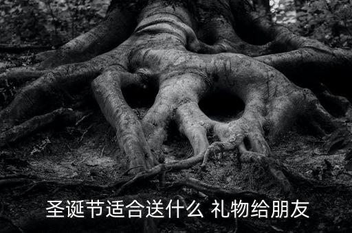  圣诞节适合送什么 礼物给朋友