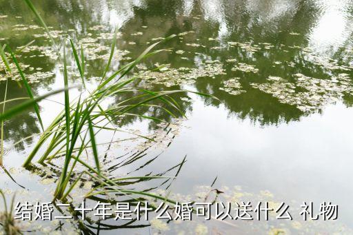 纸婚送什么礼物,结婚20周年礼物你可以选择什么礼物?