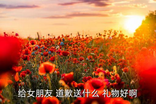 给女朋友 道歉送什么 礼物好啊