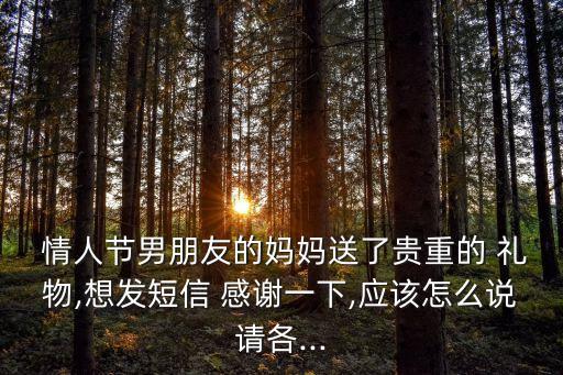  情人节男朋友的妈妈送了贵重的 礼物,想发短信 感谢一下,应该怎么说请各...