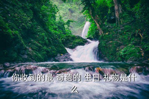 你收到的最 奇葩的 生日 礼物是什么