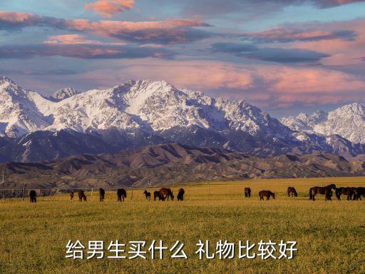 给男生买什么 礼物比较好