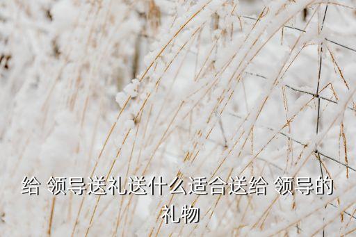 给 领导送礼送什么适合送给 领导的 礼物