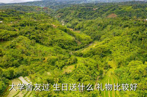 大学舍友过 生日送什么 礼物比较好