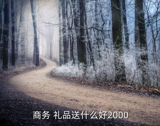  商务 礼品送什么好2000