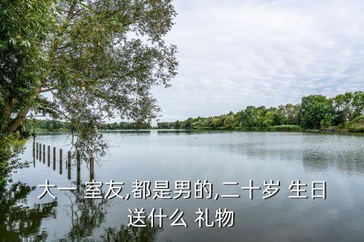大一 室友,都是男的,二十岁 生日送什么 礼物