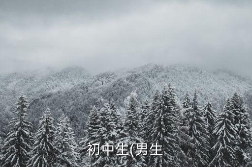 初中生(男生