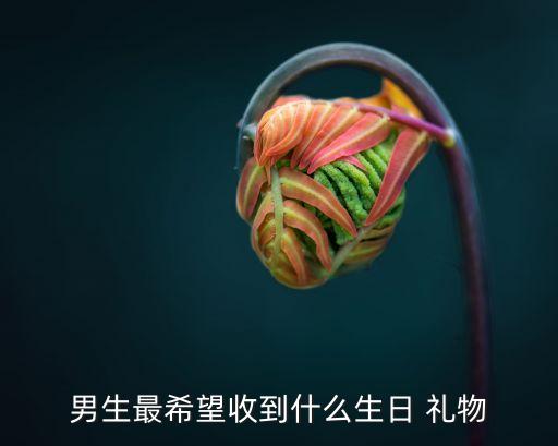 男生最希望收到什么生日 礼物