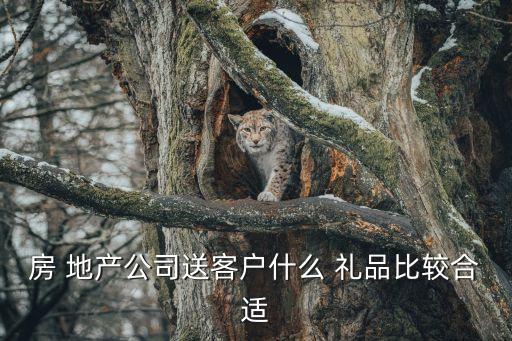 房 地产公司送客户什么 礼品比较合适