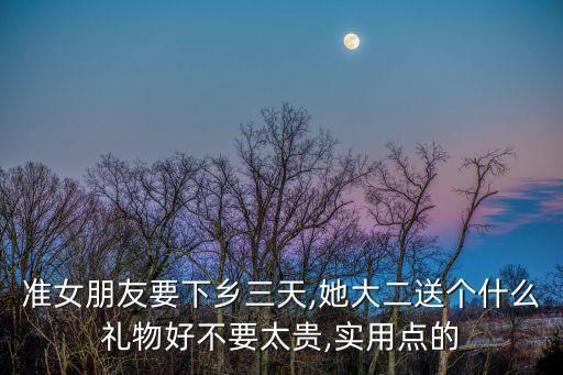准女朋友要下乡三天,她大二送个什么礼物好不要太贵,实用点的