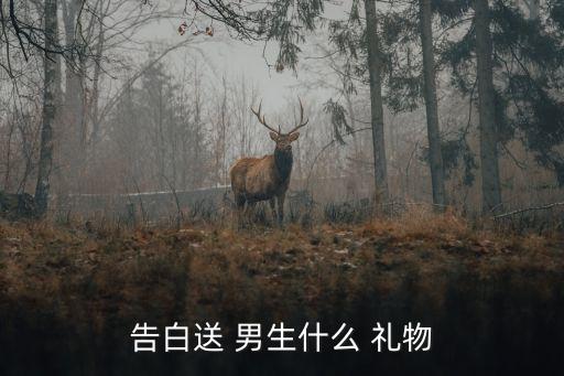 给男生女生送礼物,男生女生互送礼物属于确定关系吗