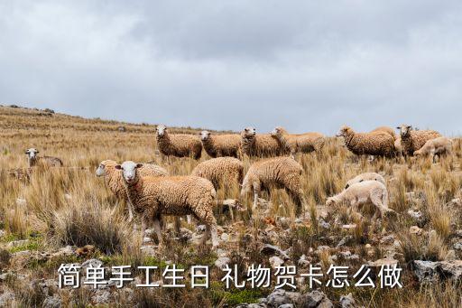 简单手工生日 礼物贺卡怎么做