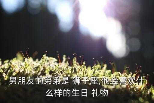 男朋友的弟弟是 狮子座,他会喜欢什么样的生日 礼物