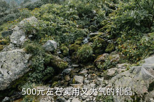 500元左右实用又大气的礼品