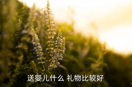 送婴儿什么 礼物比较好