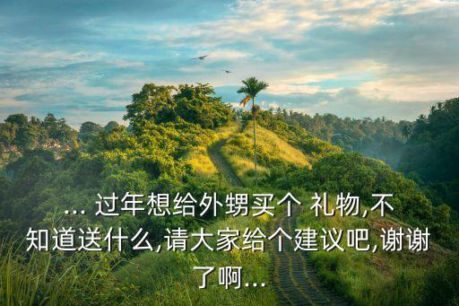... 过年想给外甥买个 礼物,不知道送什么,请大家给个建议吧,谢谢了啊...