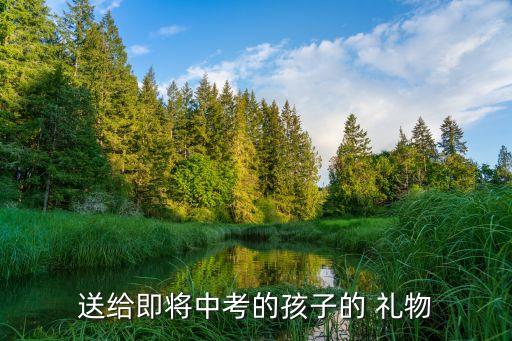 送给即将中考的孩子的 礼物
