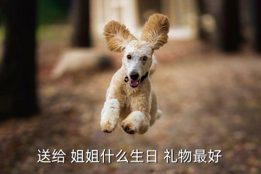送给 姐姐什么生日 礼物最好