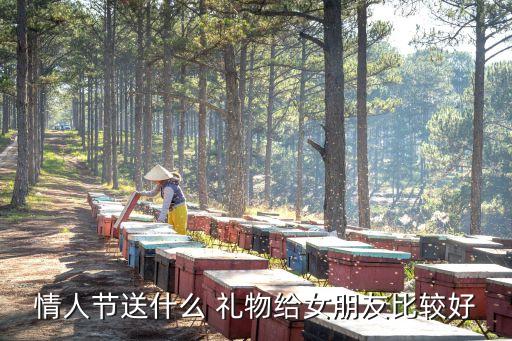 情人节送什么 礼物给女朋友比较好