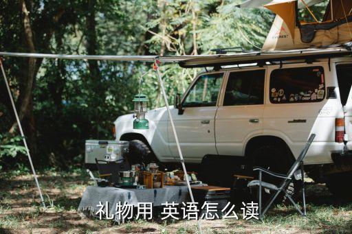 姐姐送的礼物英语,姐姐生日送什么礼物好一点