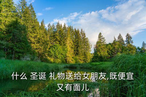 什么 圣诞 礼物送给女朋友,既便宜又有面儿