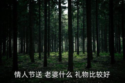 情人节送 老婆什么 礼物比较好