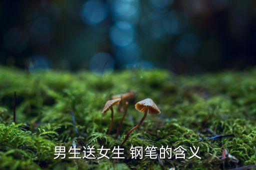 男生送女生 钢笔的含义