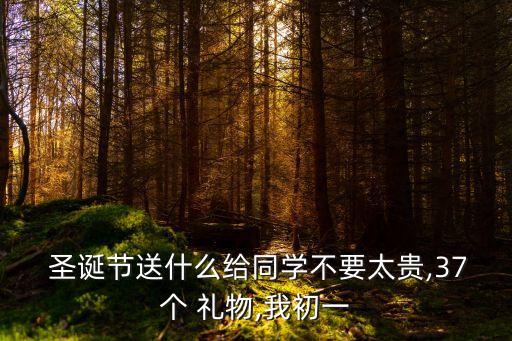 初中生圣诞节礼物送什么,圣诞节一般送什么礼物最好