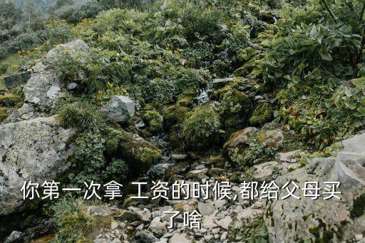 领了工资送爸妈什么礼物,发第一个月工资给爸妈买什么