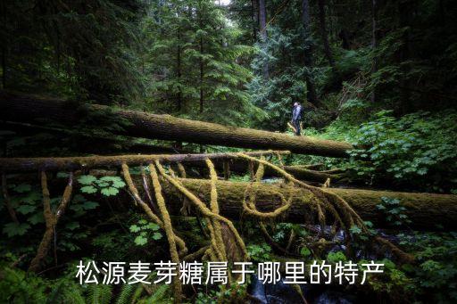  松源麦芽糖属于哪里的特产
