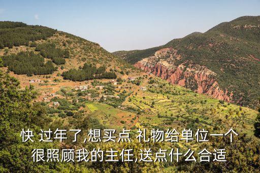 快 过年了,想买点 礼物给单位一个很照顾我的主任,送点什么合适
