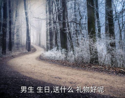 男生 生日,送什么 礼物好呢