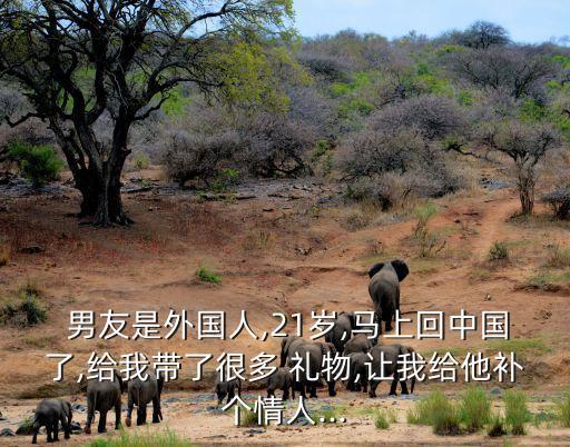  男友是外国人,21岁,马上回中国了,给我带了很多 礼物,让我给他补个情人...