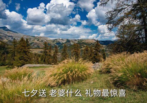  七夕送 老婆什么 礼物最惊喜